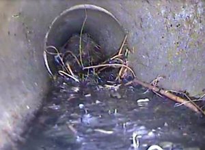 Swindon sewer