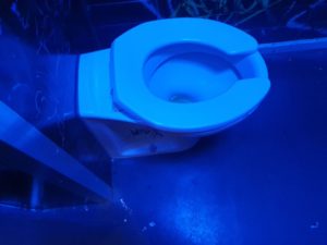 public toilet blocked drain wootton bassett